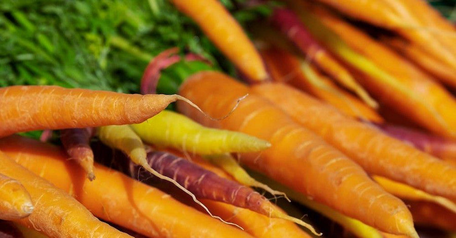 🥕 Receta sencilla de vegetales fermentados