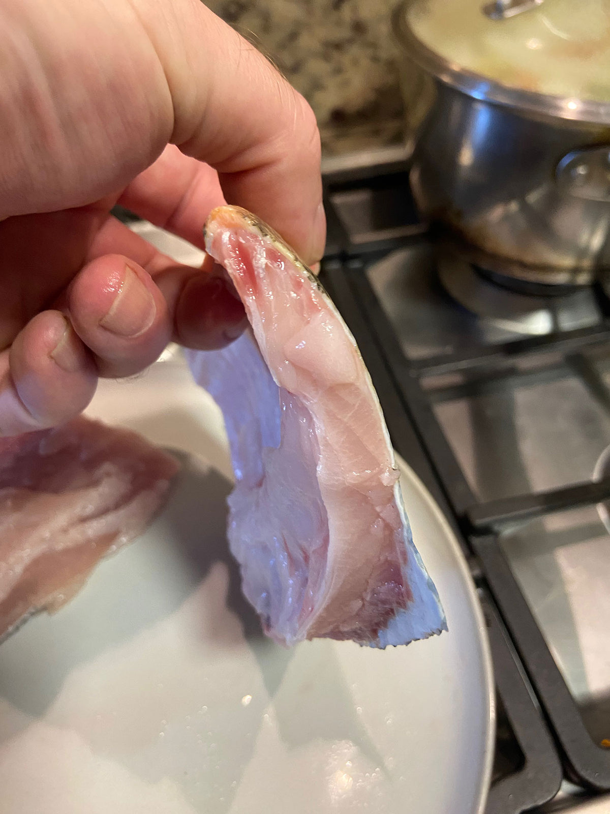 Costillas del pescado Pacu