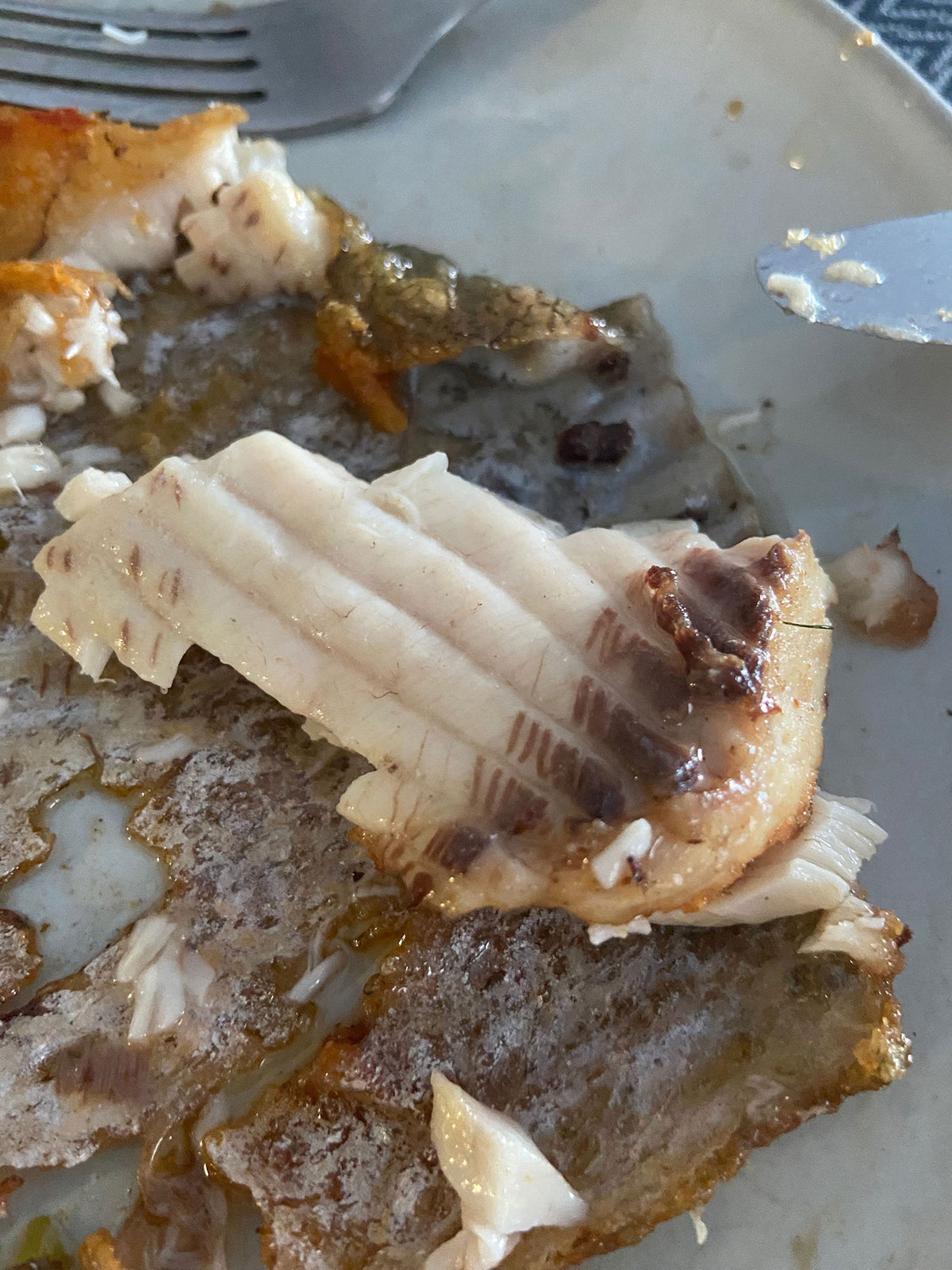 Costillas del pescado Pacu