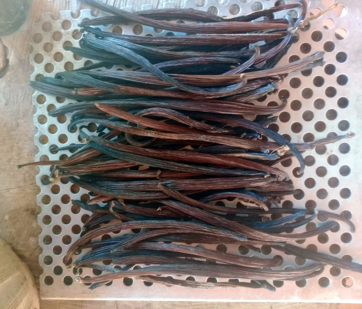 Vainilla natural / unidad